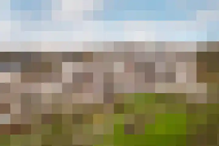 Bugel 114 Capelle aan den IJssel thumbnail 14