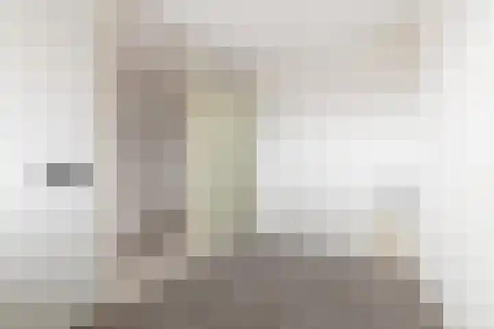 Bugel 114 Capelle aan den IJssel thumbnail 18