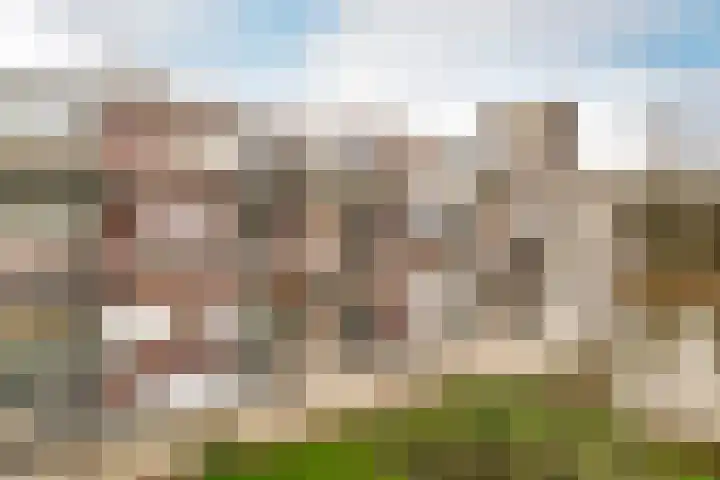 Bugel 114 Capelle aan den IJssel thumbnail 26