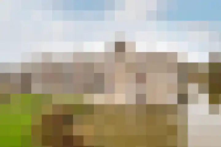 Bugel 114 Capelle aan den IJssel thumbnail 27