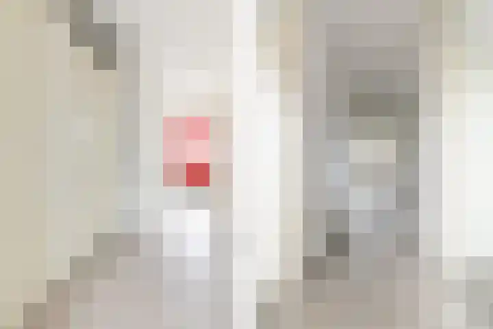 Bugel 114 Capelle aan den IJssel thumbnail 6