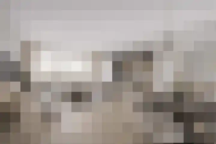 Bugel 114 Capelle aan den IJssel thumbnail 7