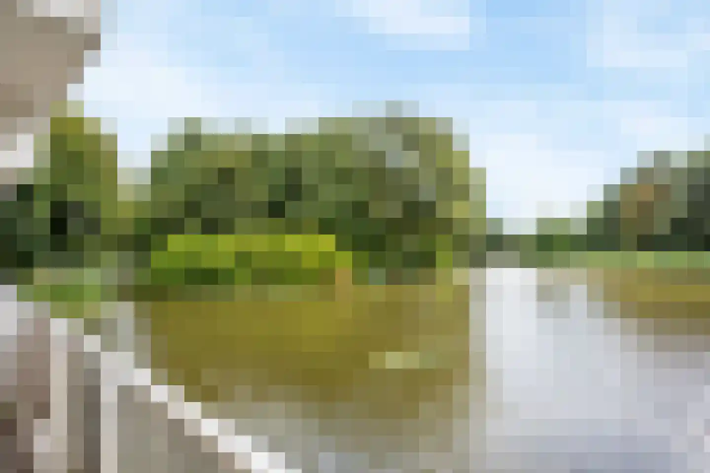 Bugel 36 Capelle aan den IJssel thumbnail 20