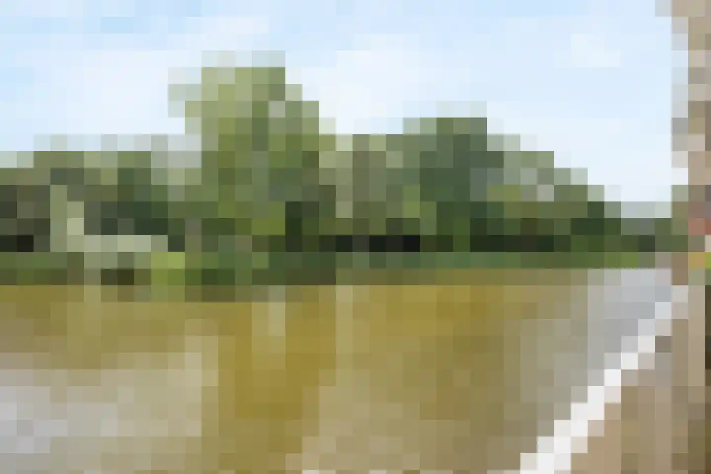 Bugel 36 Capelle aan den IJssel thumbnail 22
