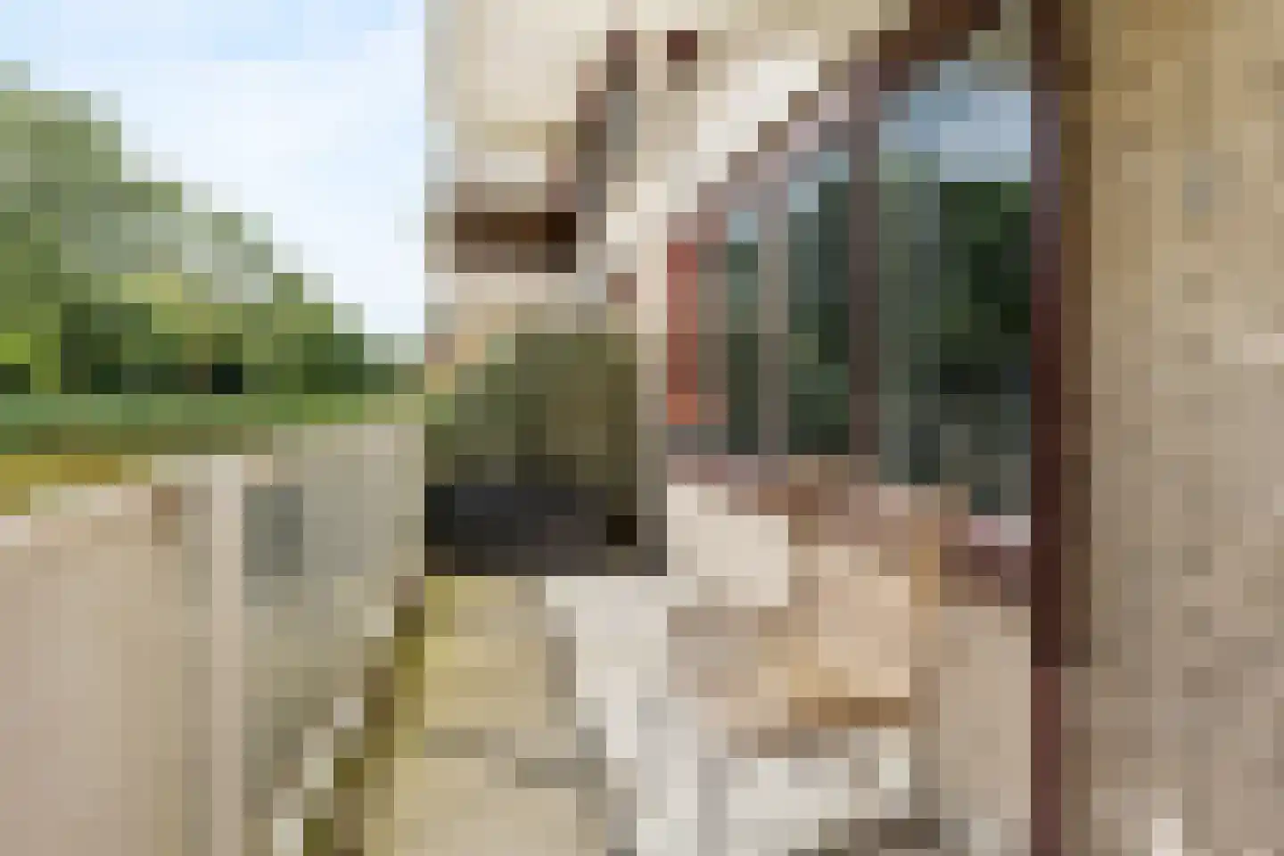Bugel 36 Capelle aan den IJssel thumbnail 23