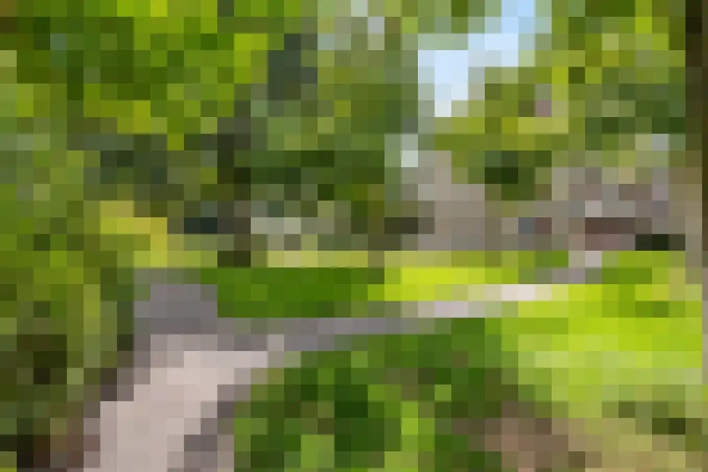 Bugel 36 Capelle aan den IJssel thumbnail 38