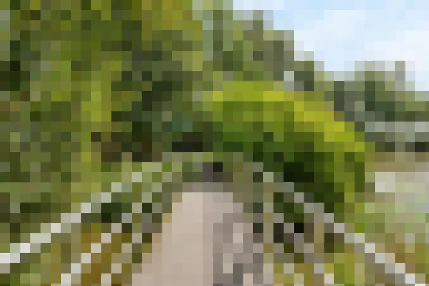 Bugel 36 Capelle aan den IJssel thumbnail 39
