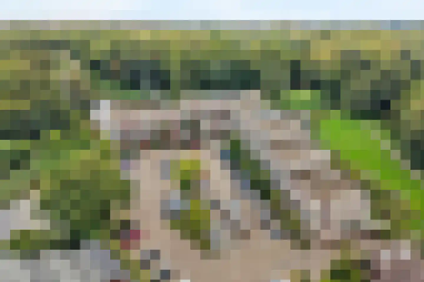 Bugel 36 Capelle aan den IJssel thumbnail 43