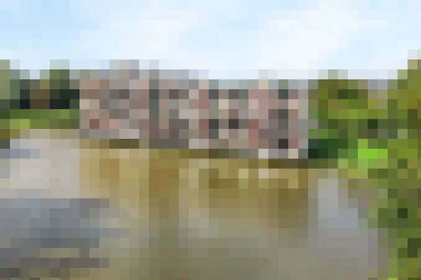 Bugel 36 Capelle aan den IJssel thumbnail 44