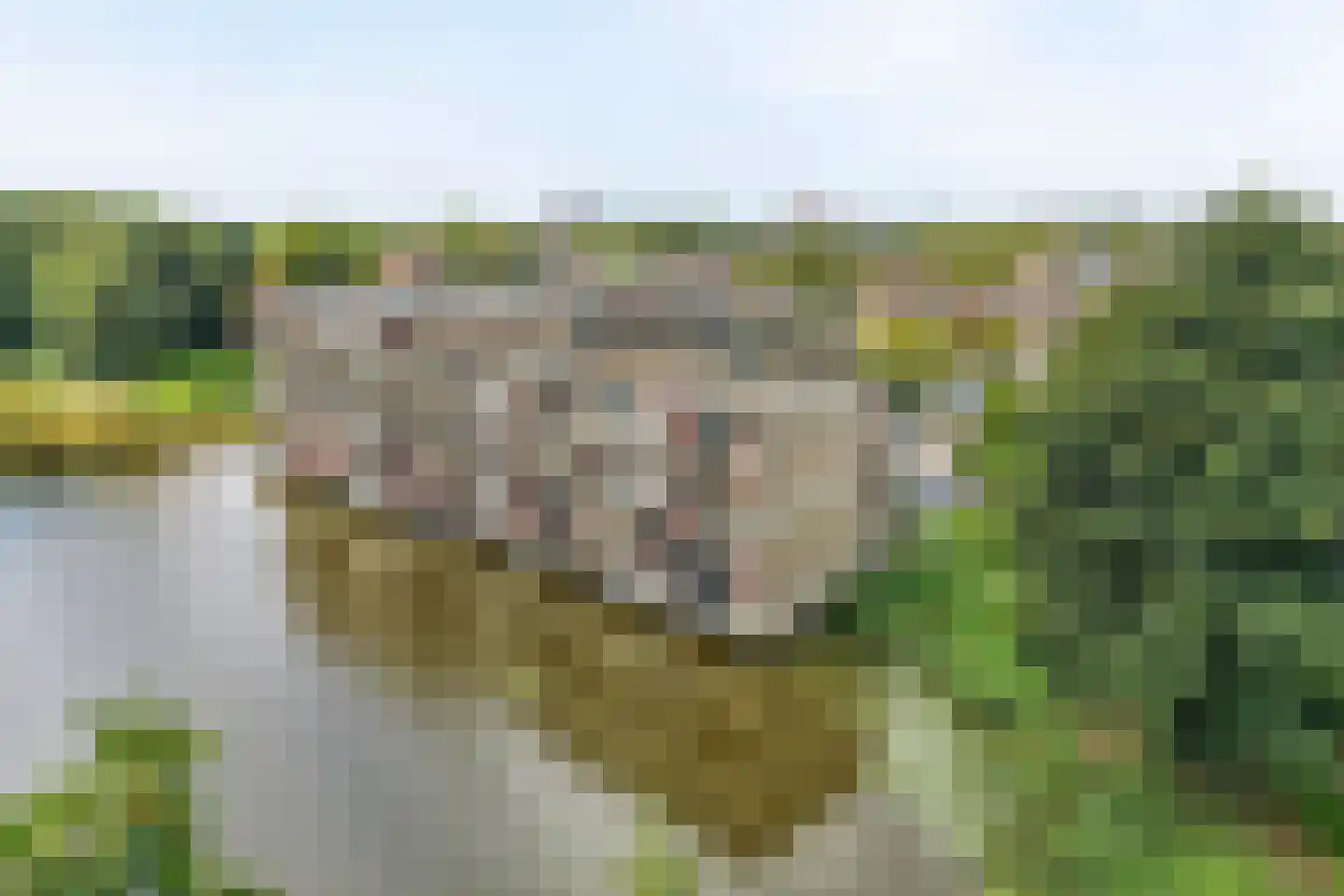 Bugel 36 Capelle aan den IJssel thumbnail 45