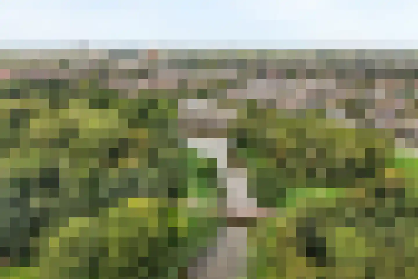 Bugel 36 Capelle aan den IJssel thumbnail 46