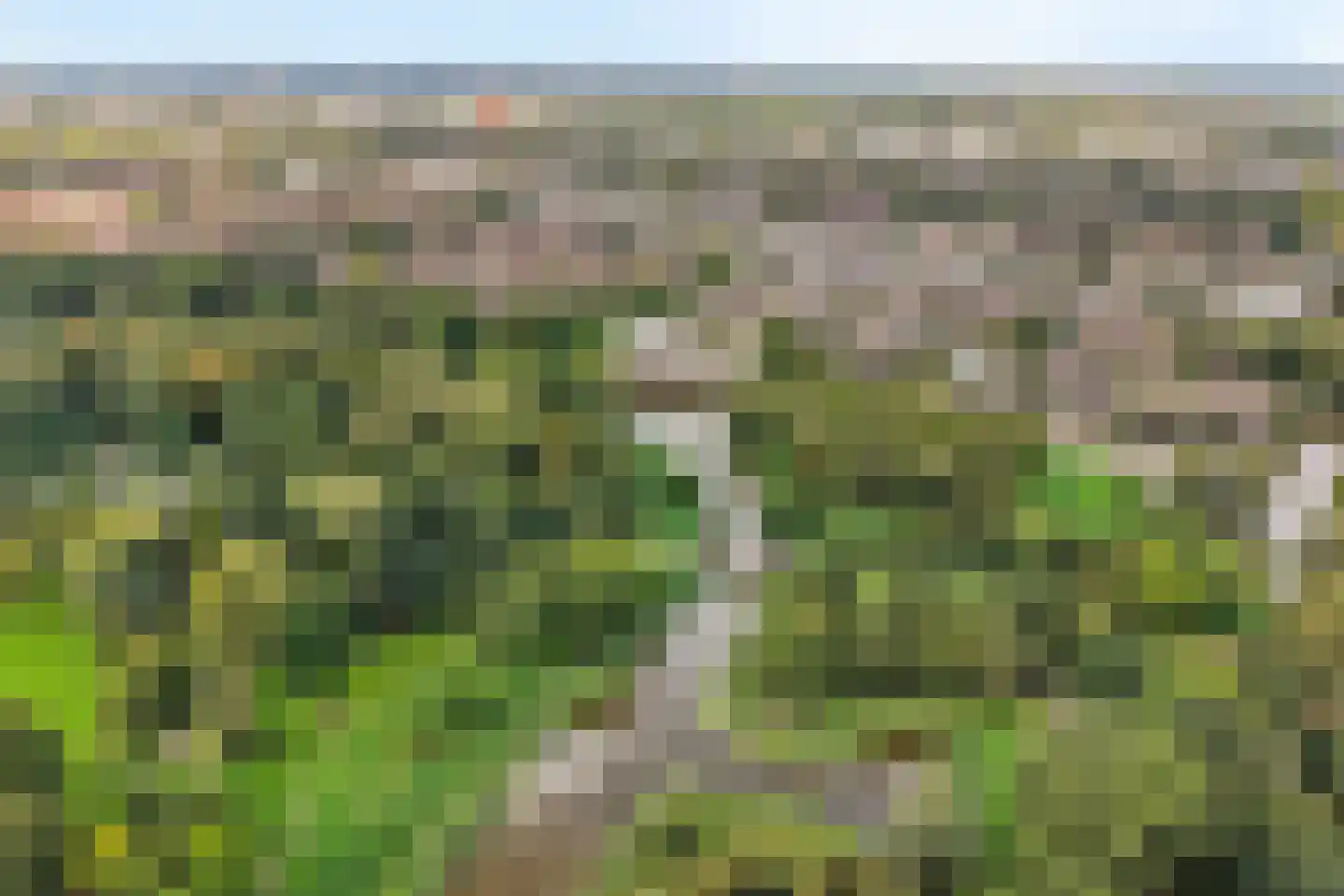 Bugel 36 Capelle aan den IJssel thumbnail 47