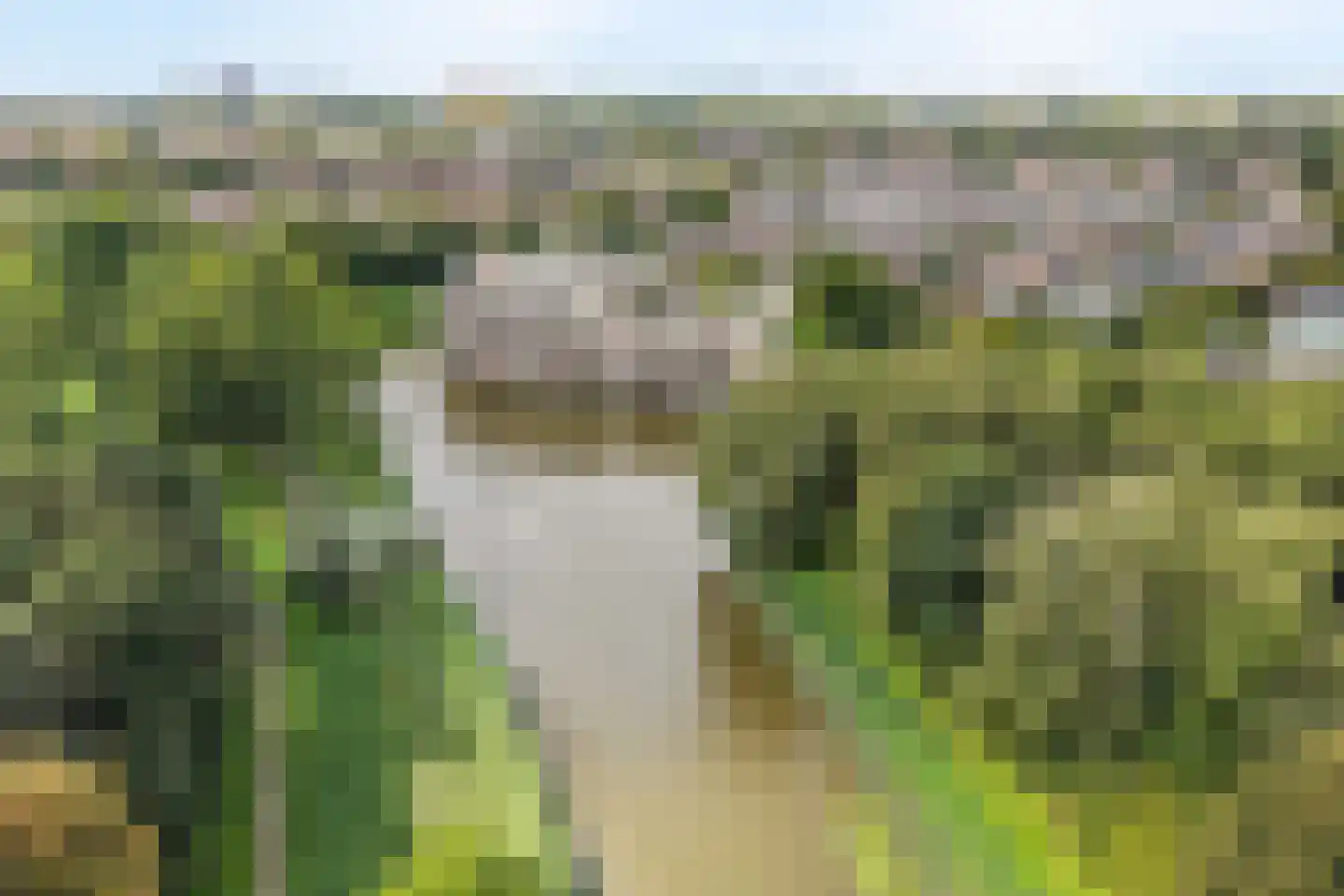Bugel 36 Capelle aan den IJssel thumbnail 48