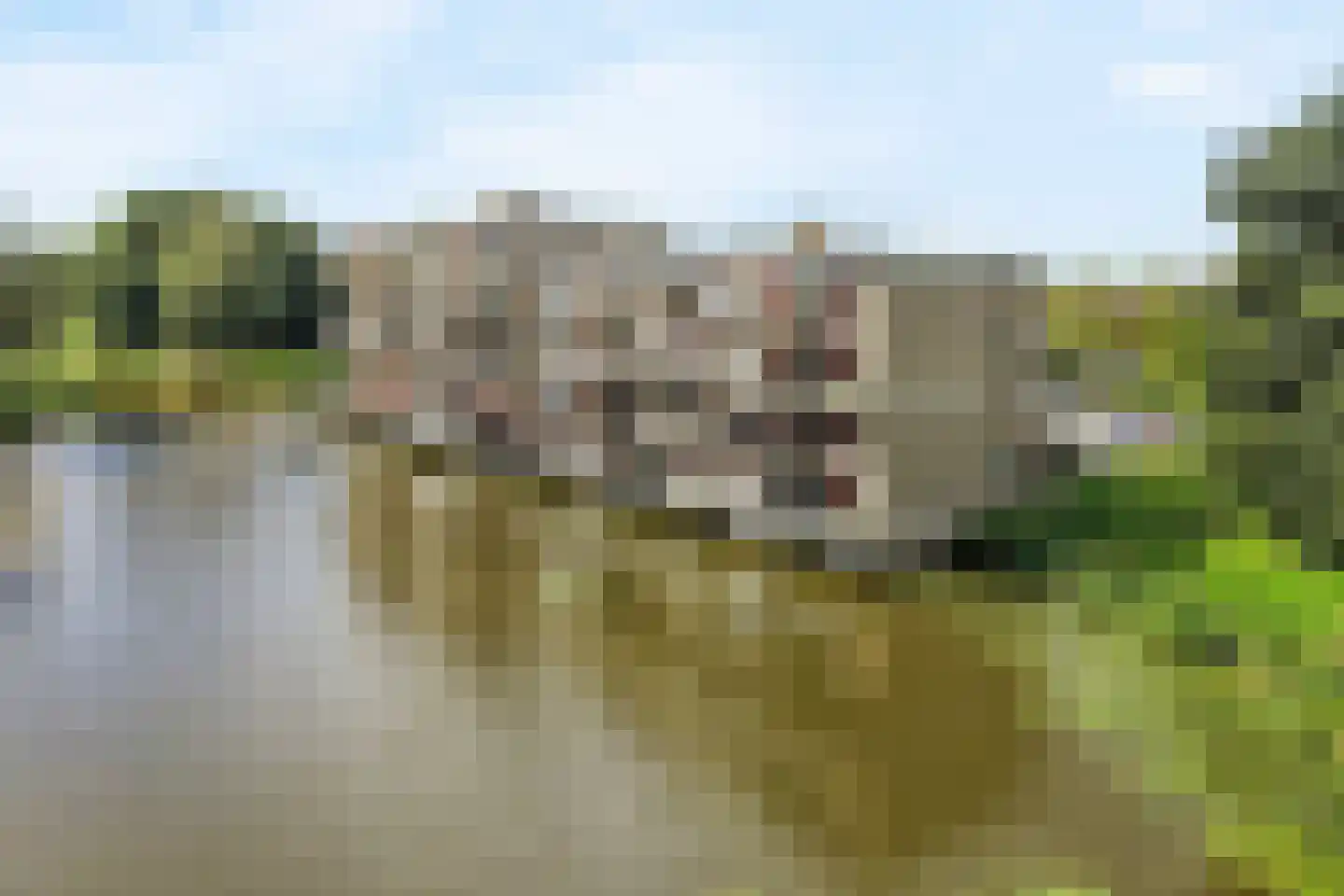 Bugel 36 Capelle aan den IJssel thumbnail 49