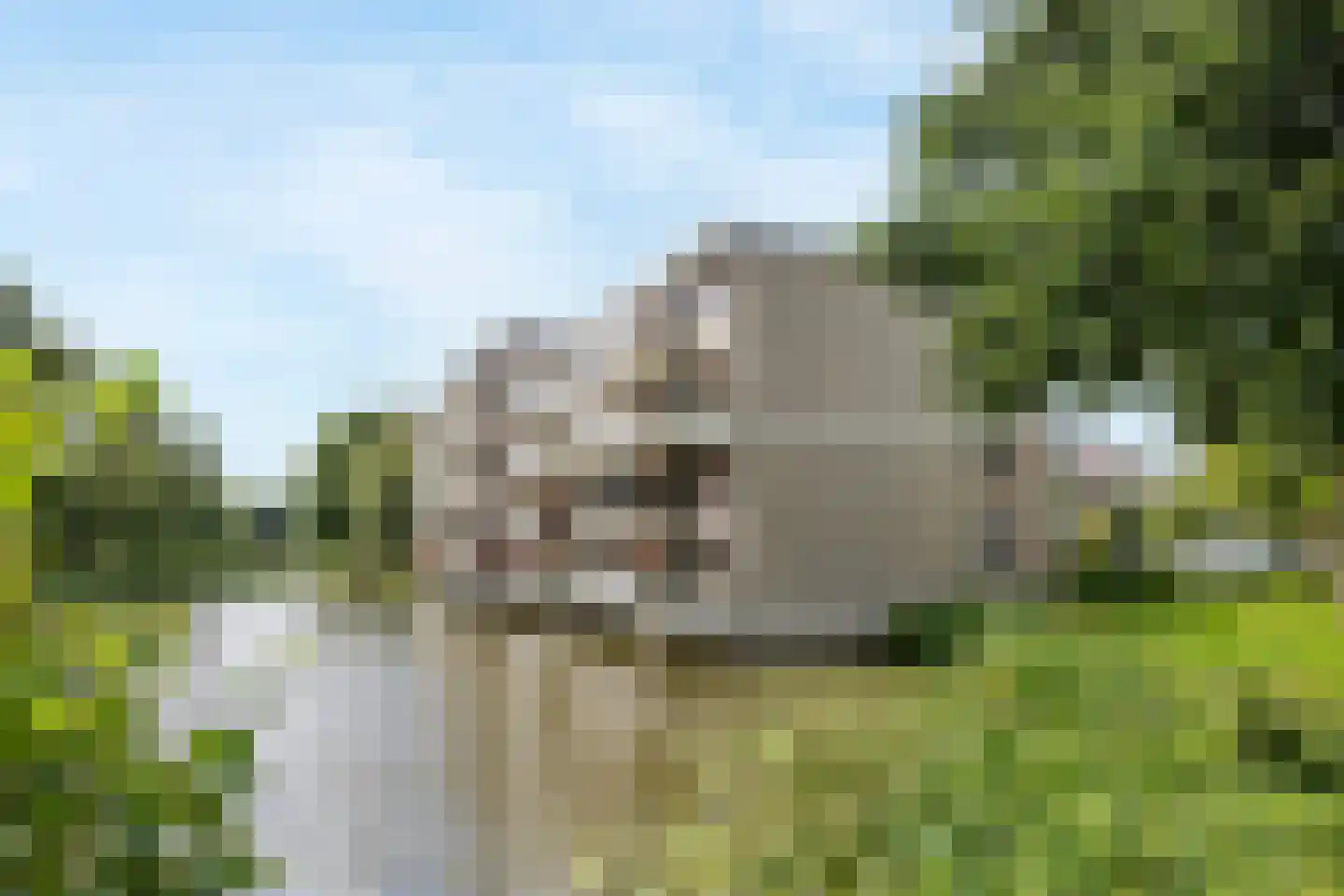 Bugel 36 Capelle aan den IJssel thumbnail 6