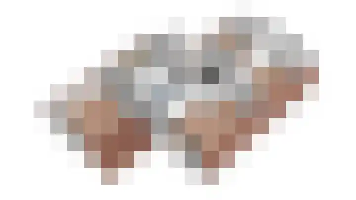 Bugel 5 Zevenaar thumbnail 55