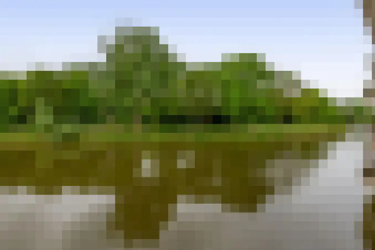 Bugel 70 Capelle aan den IJssel thumbnail 31