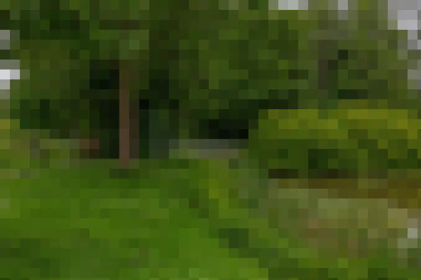 Bugel 70 Capelle aan den IJssel thumbnail 33