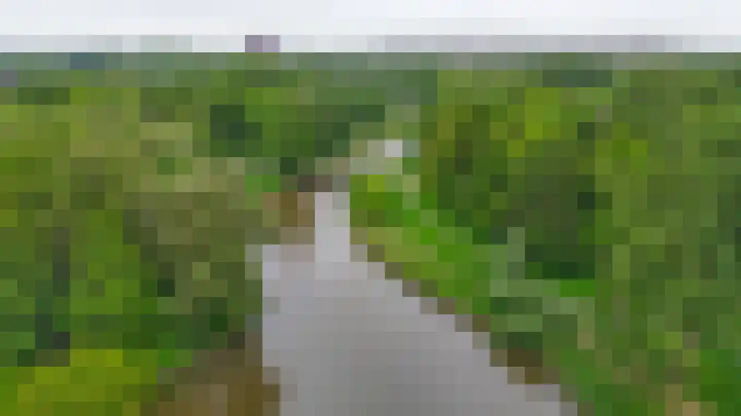 Bugel 70 Capelle aan den IJssel thumbnail 34