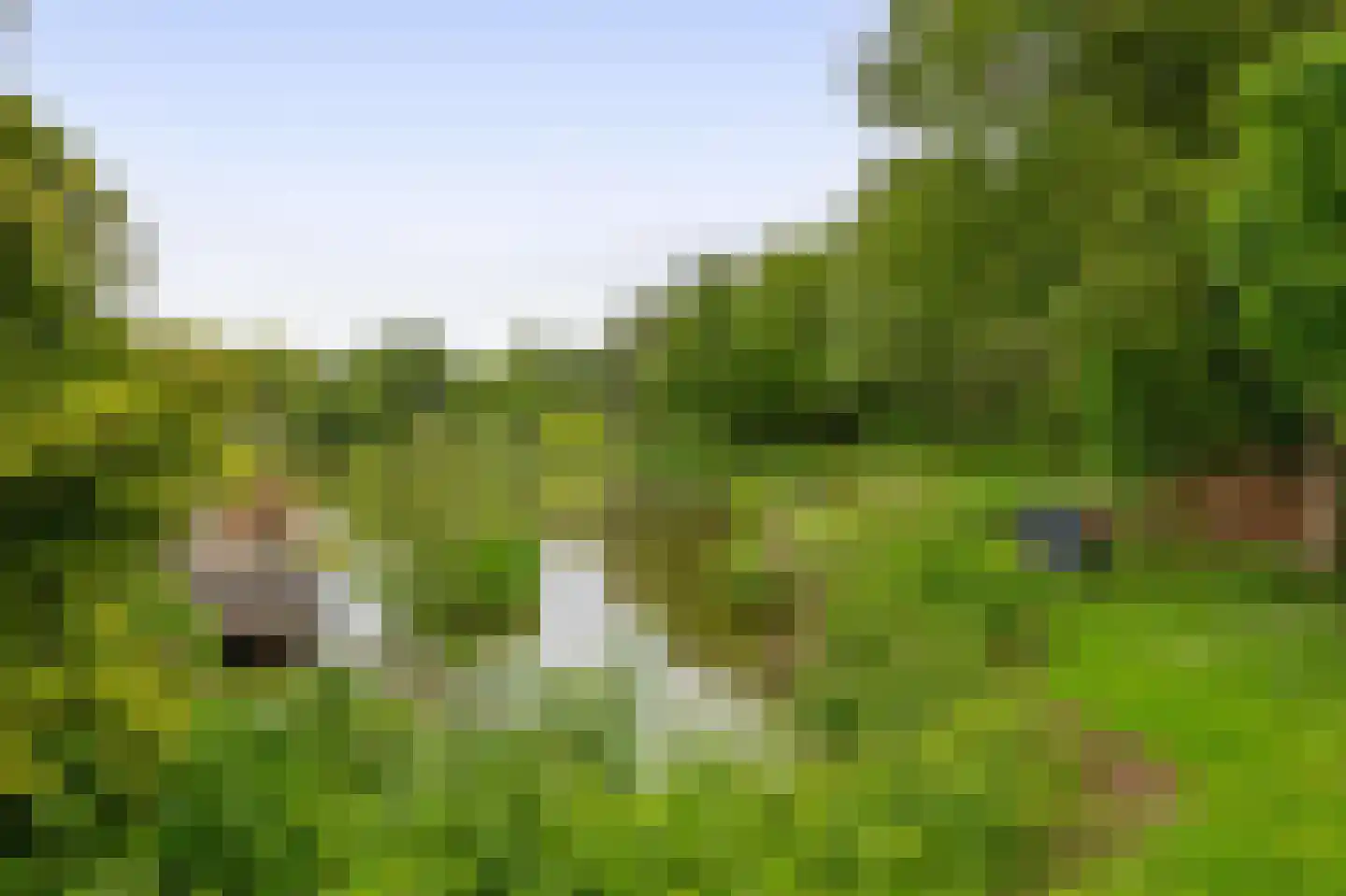 Bugel 70 Capelle aan den IJssel thumbnail 35