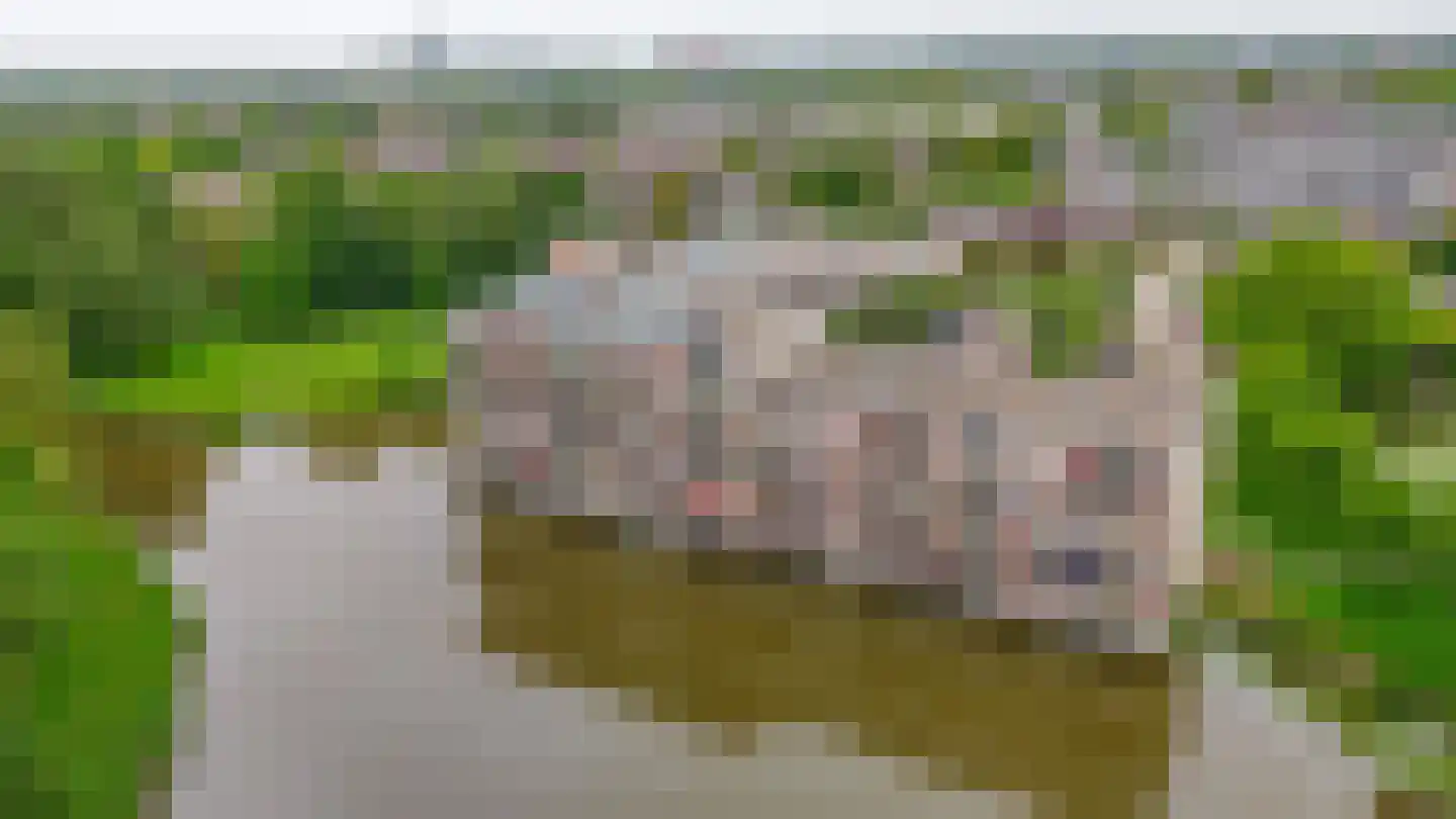 Bugel 70 Capelle aan den IJssel thumbnail 39