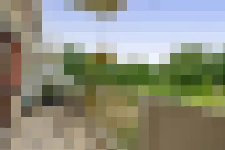 Bugel 88 Capelle aan den IJssel thumbnail 18