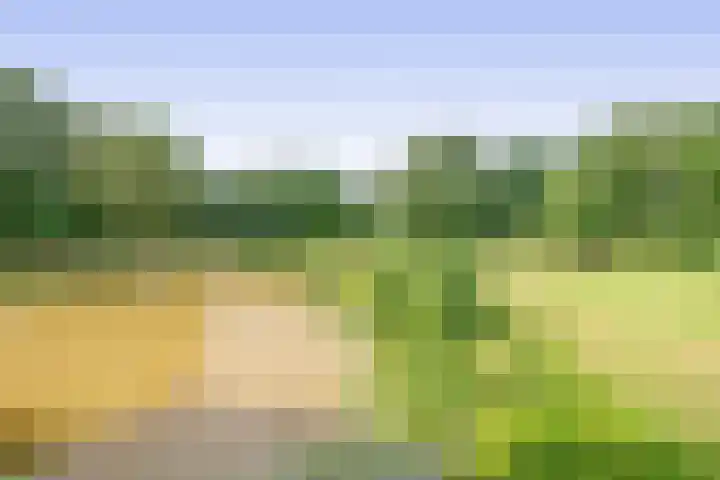 Bugel 88 Capelle aan den IJssel thumbnail 19