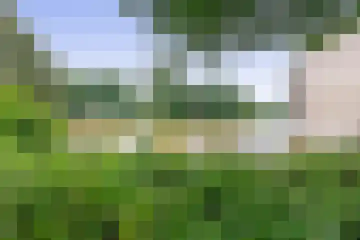 Bugel 88 Capelle aan den IJssel thumbnail 28