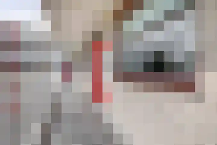 Bugel 88 Capelle aan den IJssel thumbnail 7