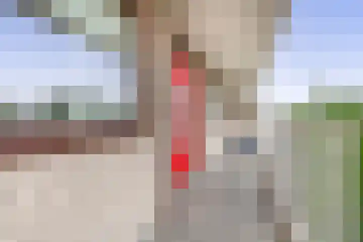 Bugel 88 Capelle aan den IJssel thumbnail 8