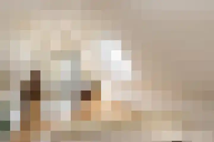 Bugelstraat 36 Uden thumbnail 19