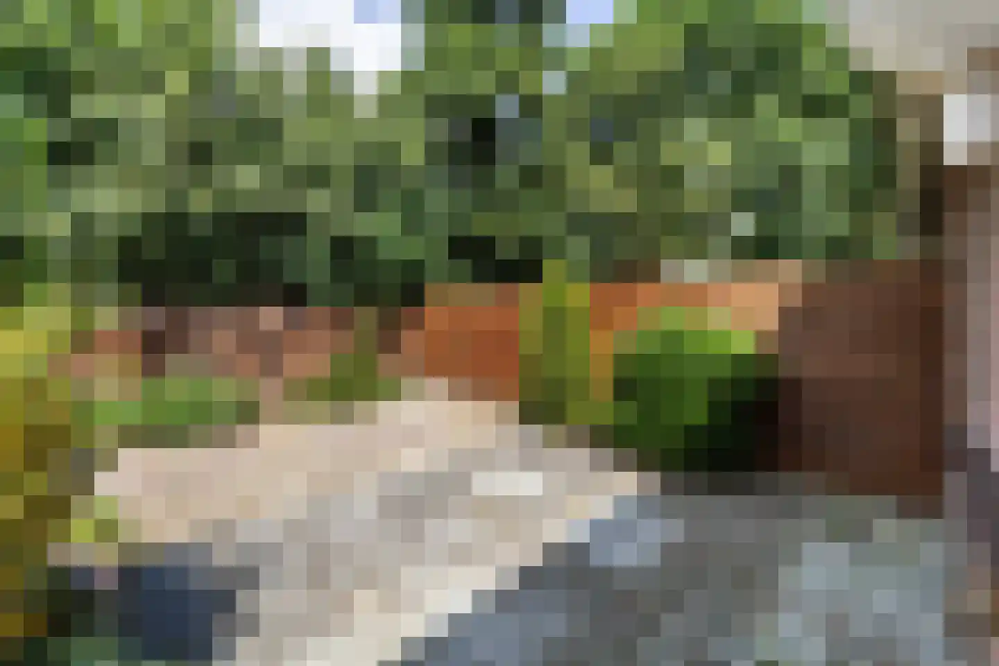 Buggenumstraat 49 Arnhem thumbnail 14