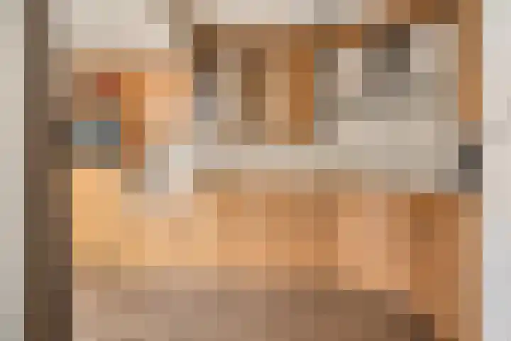 Buidelmees 72 Emmen thumbnail 10