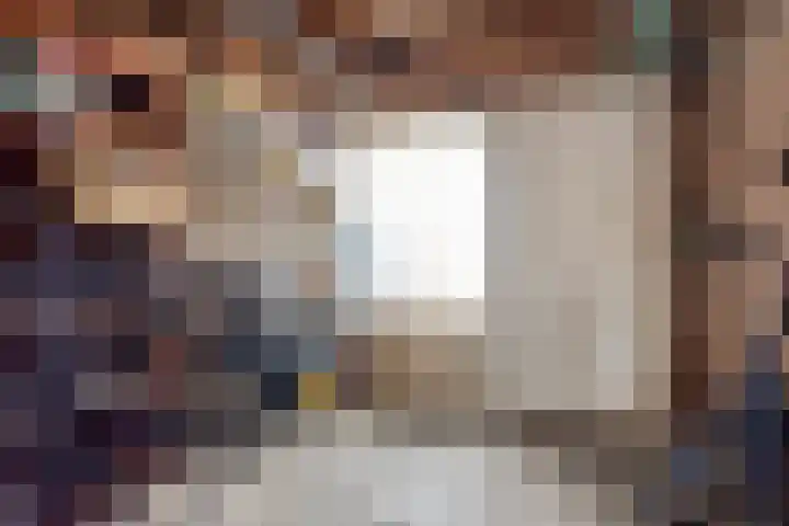 Buidelmees 72 Emmen thumbnail 13