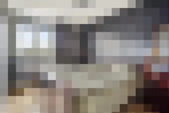 Buidelmees 72 Emmen thumbnail 15
