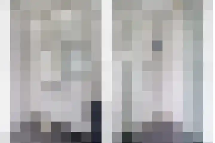 Buidelmees 72 Emmen thumbnail 17
