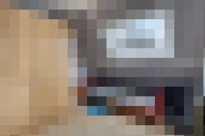 Buidelmees 72 Emmen thumbnail 18