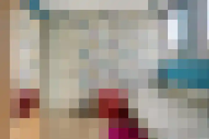 Buidelmees 72 Emmen thumbnail 19