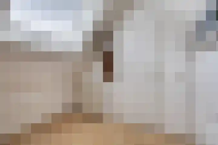 Buidelmees 72 Emmen thumbnail 21