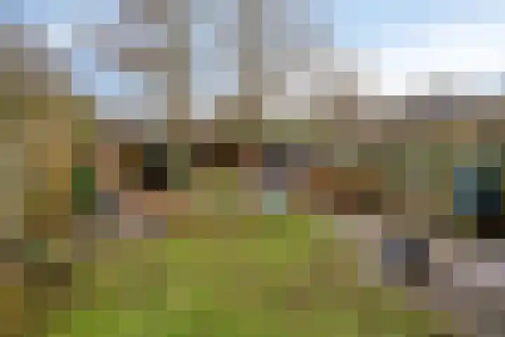 Buidelmees 72 Emmen thumbnail 22