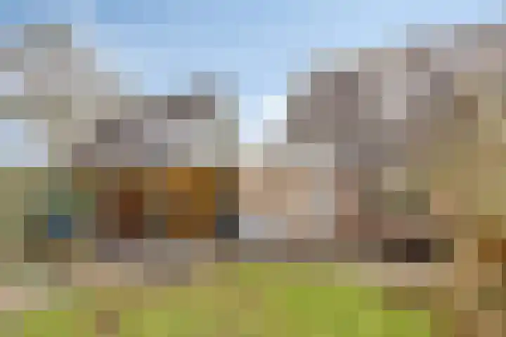 Buidelmees 72 Emmen thumbnail 24