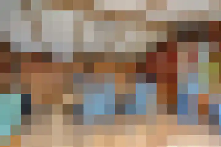 Buidelmees 72 Emmen thumbnail 25