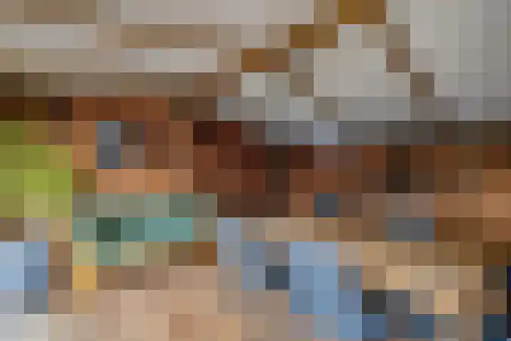 Buidelmees 72 Emmen thumbnail 26