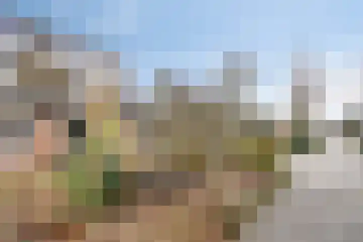 Buidelmees 72 Emmen thumbnail 28