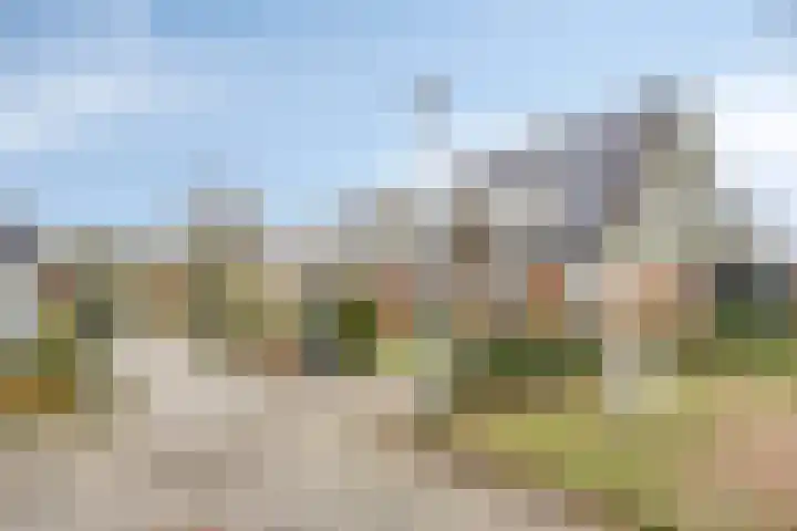 Buidelmees 72 Emmen thumbnail 29