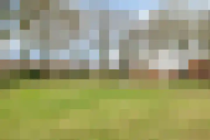 Buidelmees 72 Emmen thumbnail 30