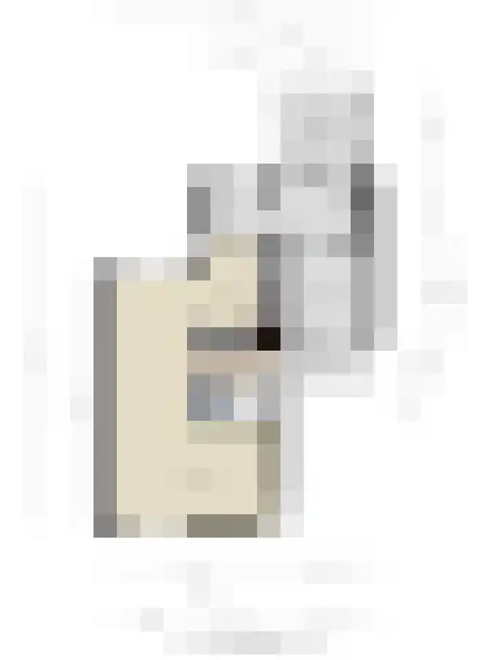 Buidelmees 72 Emmen thumbnail 32