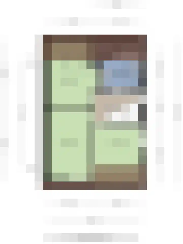 Buidelmees 72 Emmen thumbnail 33