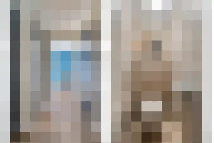 Buidelmees 72 Emmen thumbnail 4