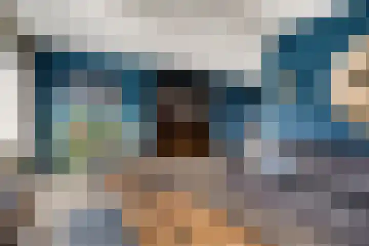 Buidelmees 72 Emmen thumbnail 6